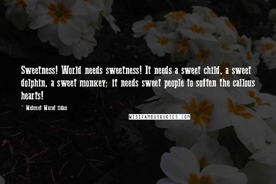 Mehmet Murat Ildan Quotes: Sweetness! World needs sweetness! It needs a sweet child, a sweet dolphin, a sweet monkey; it needs sweet people to soften the callous hearts!