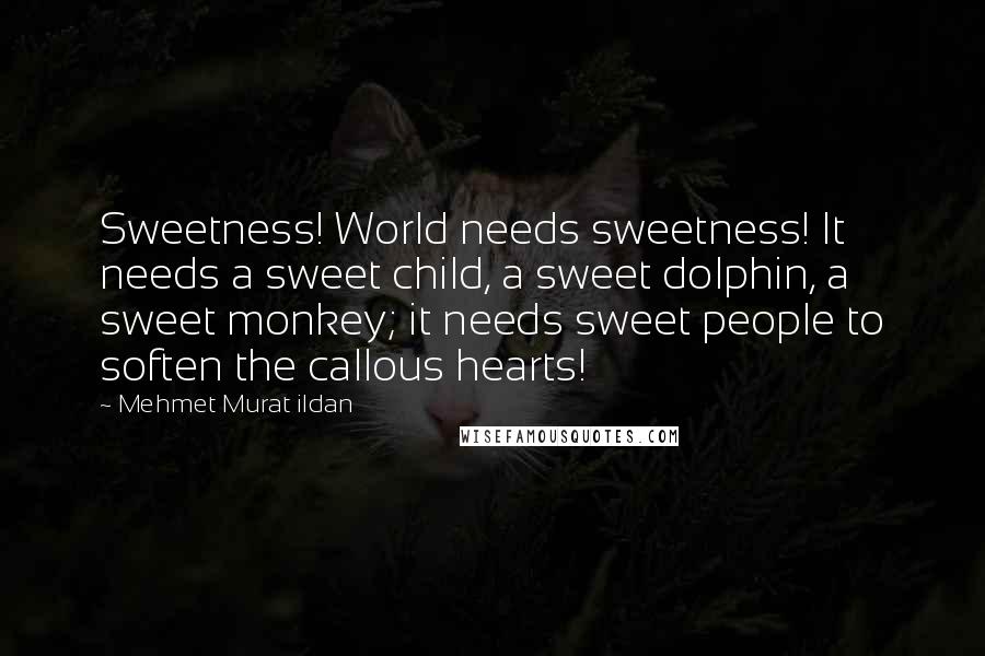 Mehmet Murat Ildan Quotes: Sweetness! World needs sweetness! It needs a sweet child, a sweet dolphin, a sweet monkey; it needs sweet people to soften the callous hearts!