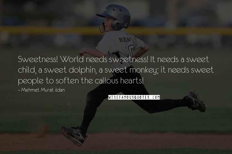 Mehmet Murat Ildan Quotes: Sweetness! World needs sweetness! It needs a sweet child, a sweet dolphin, a sweet monkey; it needs sweet people to soften the callous hearts!