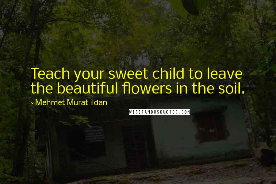 Mehmet Murat Ildan Quotes: Teach your sweet child to leave the beautiful flowers in the soil.