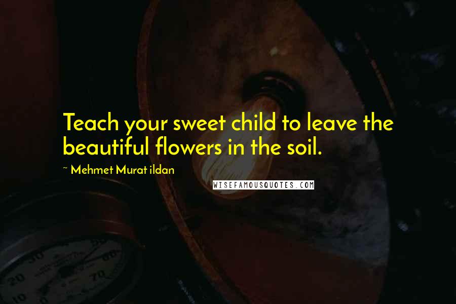 Mehmet Murat Ildan Quotes: Teach your sweet child to leave the beautiful flowers in the soil.