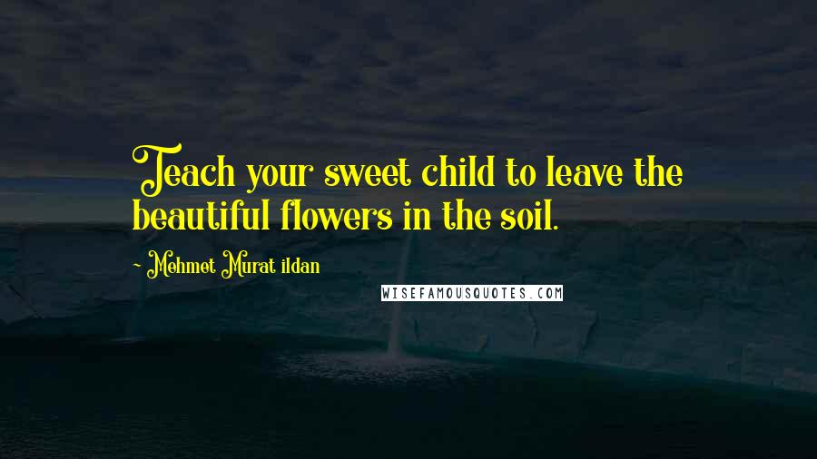Mehmet Murat Ildan Quotes: Teach your sweet child to leave the beautiful flowers in the soil.