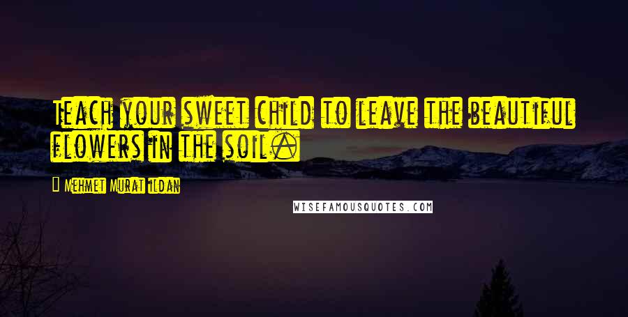 Mehmet Murat Ildan Quotes: Teach your sweet child to leave the beautiful flowers in the soil.
