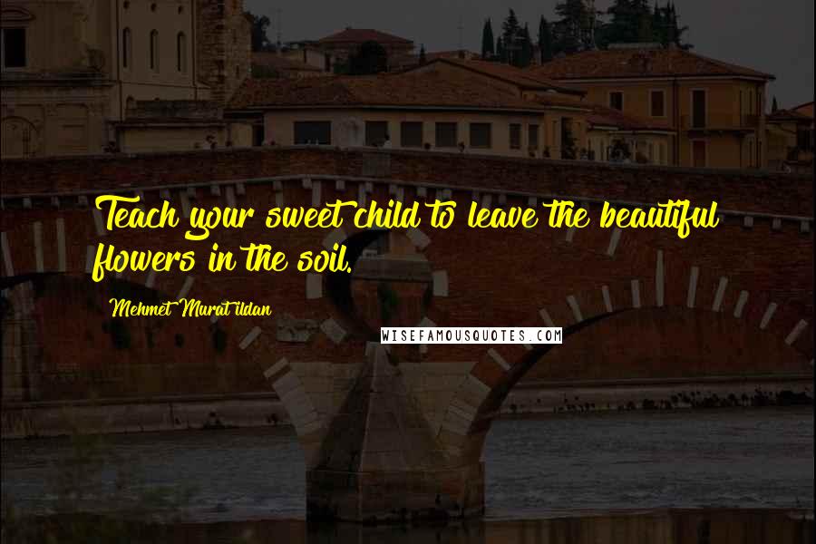 Mehmet Murat Ildan Quotes: Teach your sweet child to leave the beautiful flowers in the soil.