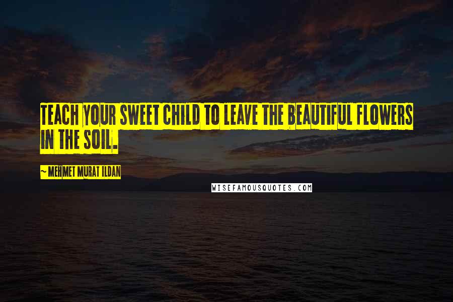 Mehmet Murat Ildan Quotes: Teach your sweet child to leave the beautiful flowers in the soil.