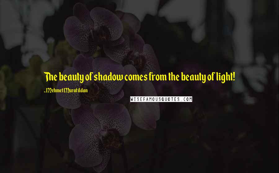 Mehmet Murat Ildan Quotes: The beauty of shadow comes from the beauty of light!