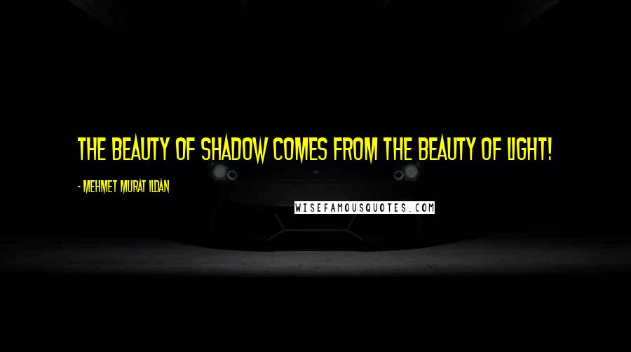 Mehmet Murat Ildan Quotes: The beauty of shadow comes from the beauty of light!