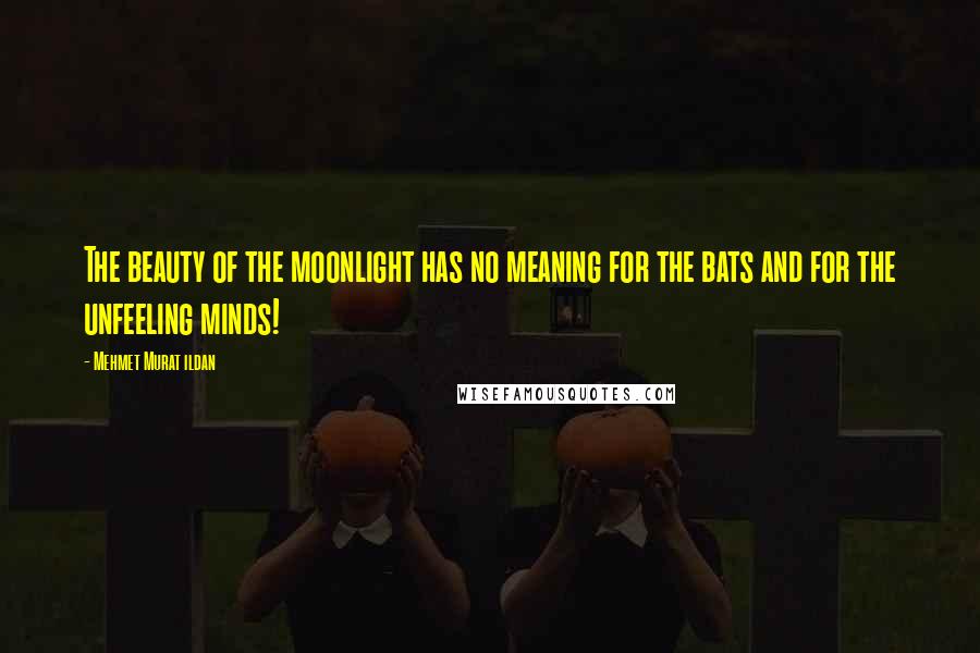 Mehmet Murat Ildan Quotes: The beauty of the moonlight has no meaning for the bats and for the unfeeling minds!