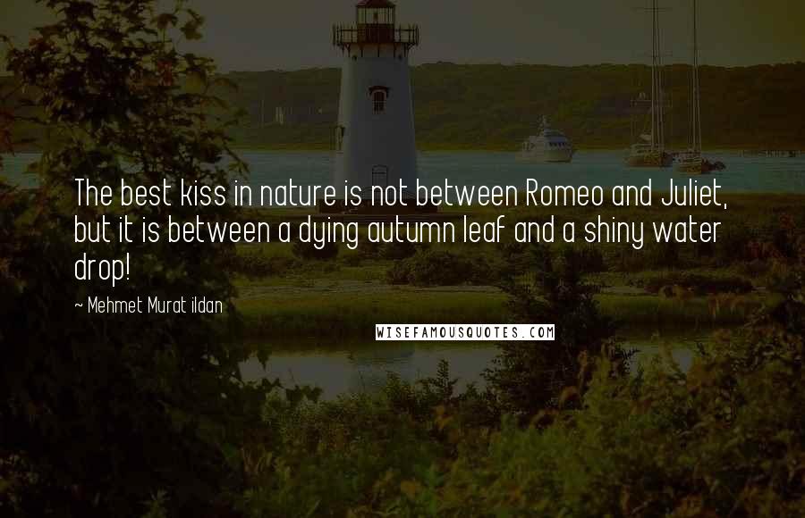 Mehmet Murat Ildan Quotes: The best kiss in nature is not between Romeo and Juliet, but it is between a dying autumn leaf and a shiny water drop!