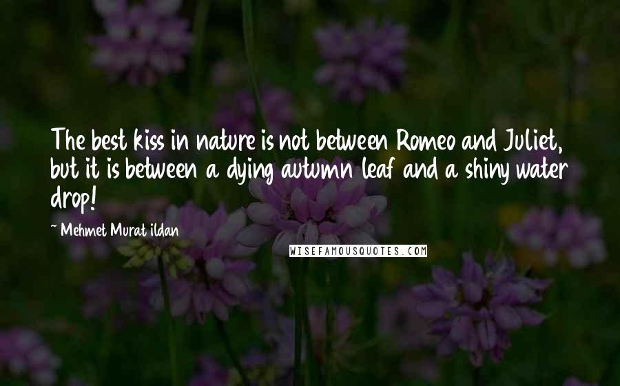 Mehmet Murat Ildan Quotes: The best kiss in nature is not between Romeo and Juliet, but it is between a dying autumn leaf and a shiny water drop!
