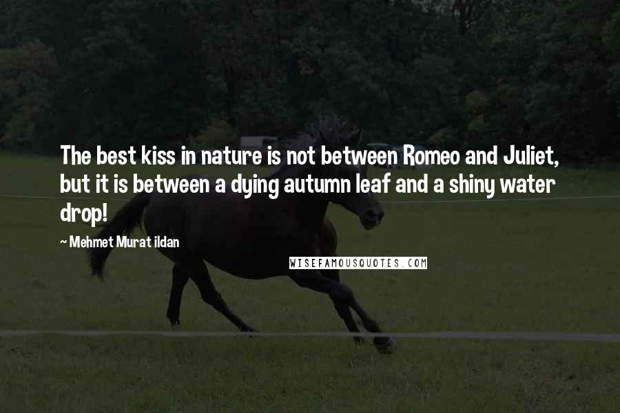 Mehmet Murat Ildan Quotes: The best kiss in nature is not between Romeo and Juliet, but it is between a dying autumn leaf and a shiny water drop!