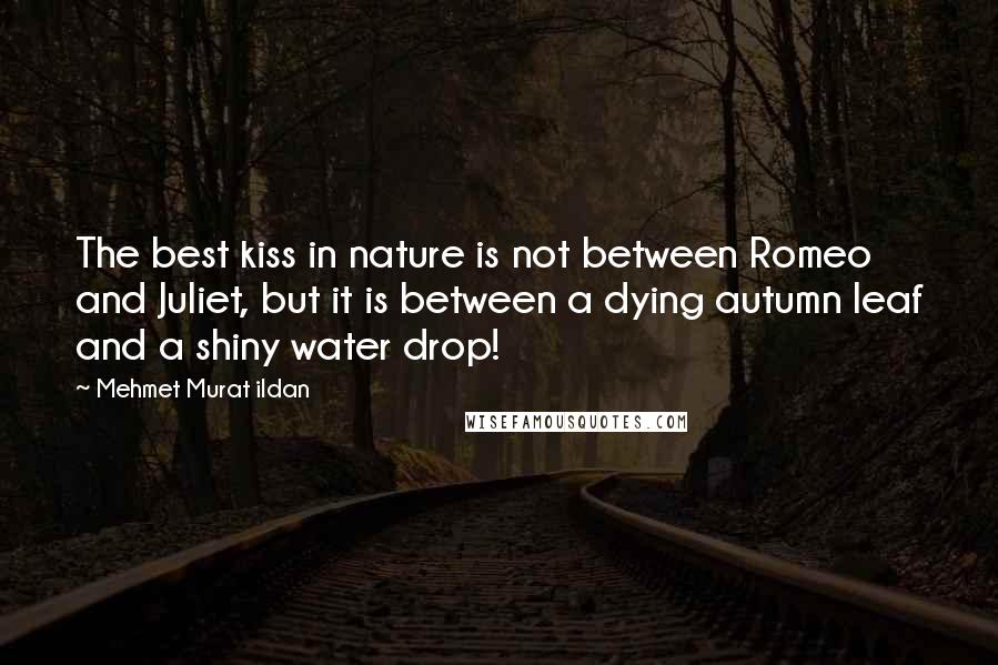 Mehmet Murat Ildan Quotes: The best kiss in nature is not between Romeo and Juliet, but it is between a dying autumn leaf and a shiny water drop!