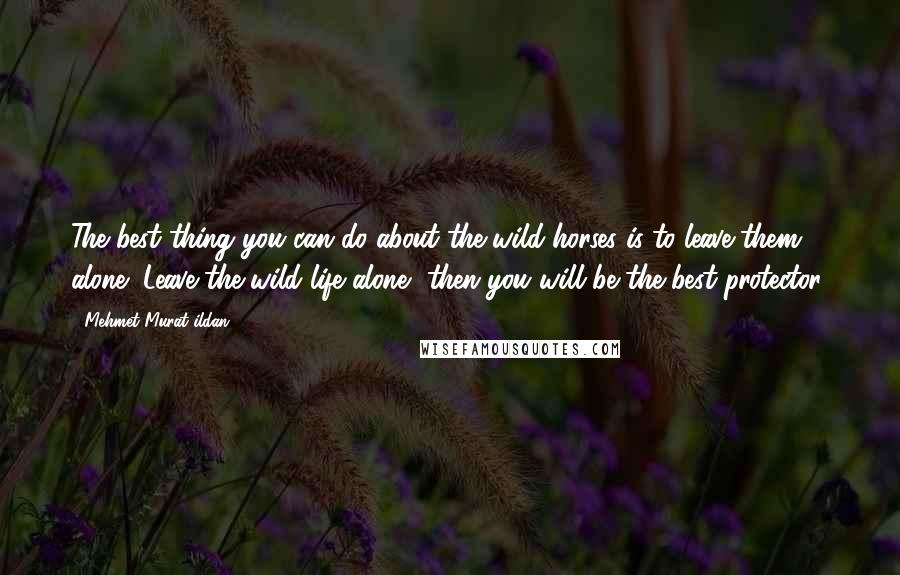 Mehmet Murat Ildan Quotes: The best thing you can do about the wild horses is to leave them alone! Leave the wild life alone, then you will be the best protector!