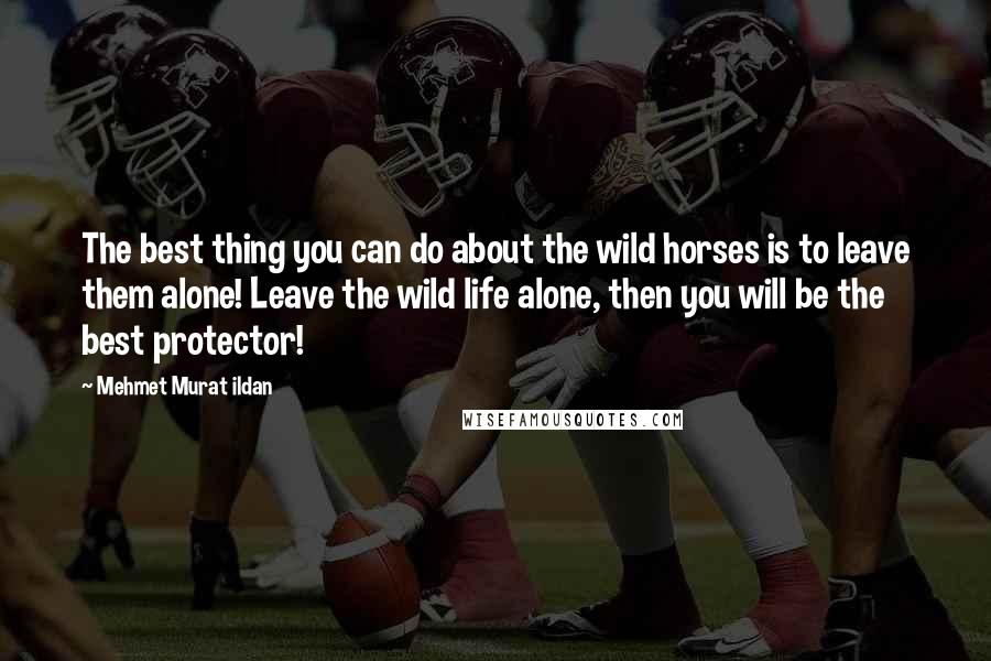 Mehmet Murat Ildan Quotes: The best thing you can do about the wild horses is to leave them alone! Leave the wild life alone, then you will be the best protector!