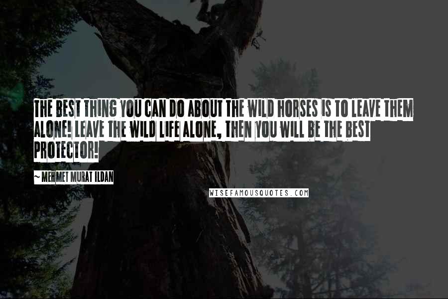 Mehmet Murat Ildan Quotes: The best thing you can do about the wild horses is to leave them alone! Leave the wild life alone, then you will be the best protector!