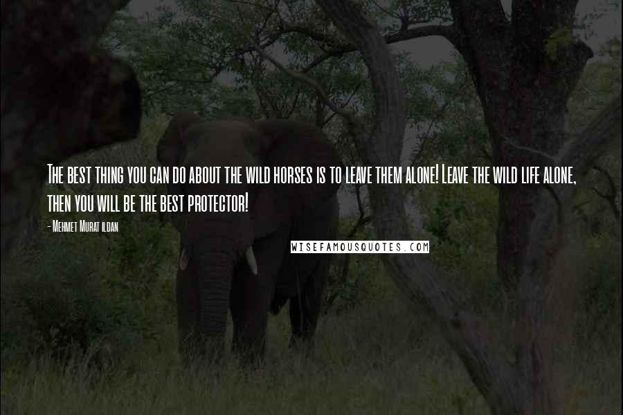 Mehmet Murat Ildan Quotes: The best thing you can do about the wild horses is to leave them alone! Leave the wild life alone, then you will be the best protector!