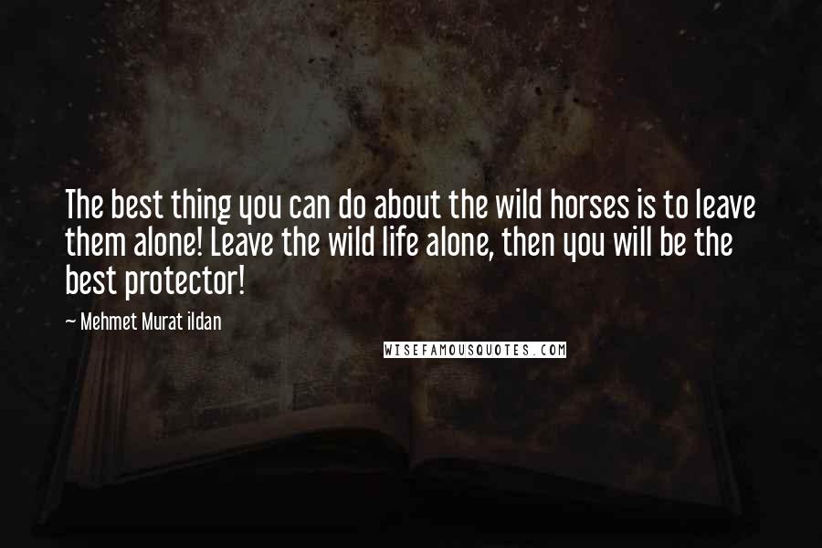 Mehmet Murat Ildan Quotes: The best thing you can do about the wild horses is to leave them alone! Leave the wild life alone, then you will be the best protector!