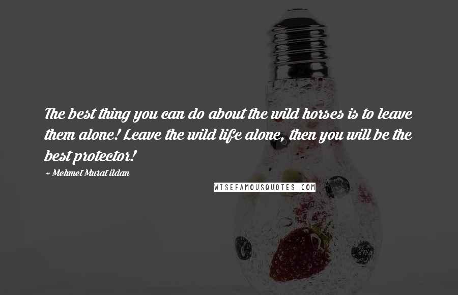 Mehmet Murat Ildan Quotes: The best thing you can do about the wild horses is to leave them alone! Leave the wild life alone, then you will be the best protector!