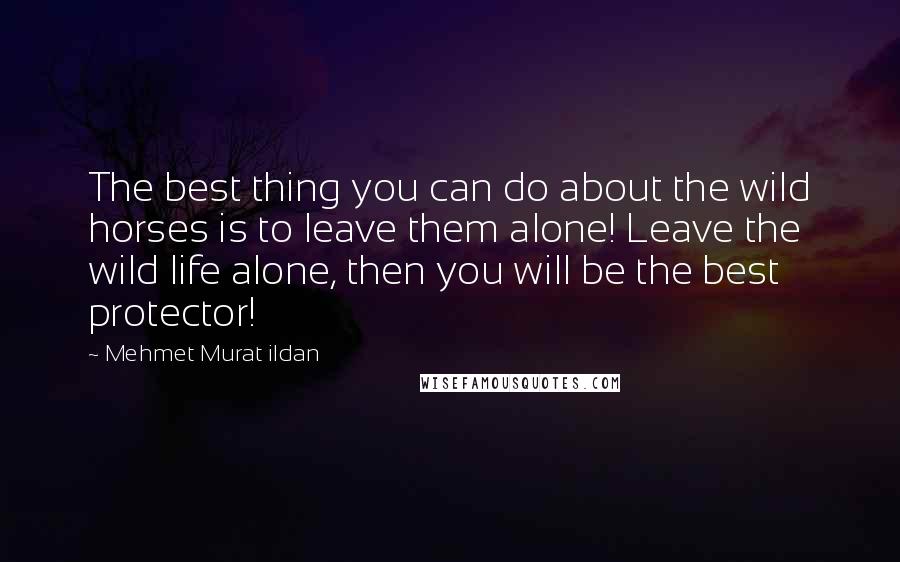 Mehmet Murat Ildan Quotes: The best thing you can do about the wild horses is to leave them alone! Leave the wild life alone, then you will be the best protector!