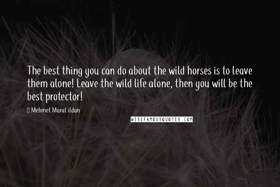 Mehmet Murat Ildan Quotes: The best thing you can do about the wild horses is to leave them alone! Leave the wild life alone, then you will be the best protector!