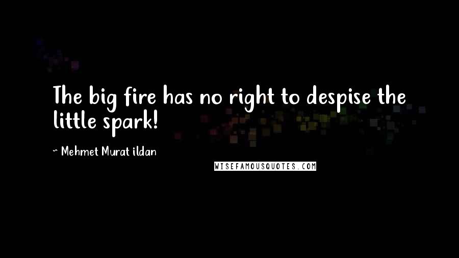 Mehmet Murat Ildan Quotes: The big fire has no right to despise the little spark!