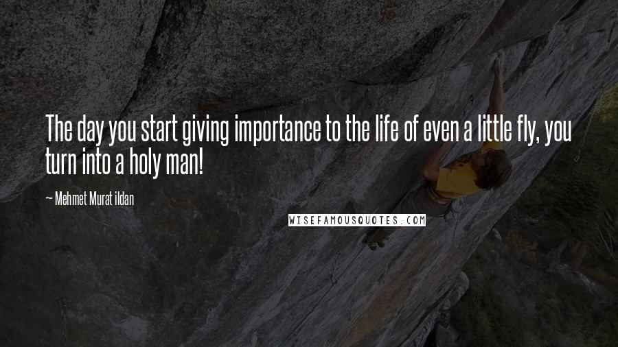 Mehmet Murat Ildan Quotes: The day you start giving importance to the life of even a little fly, you turn into a holy man!
