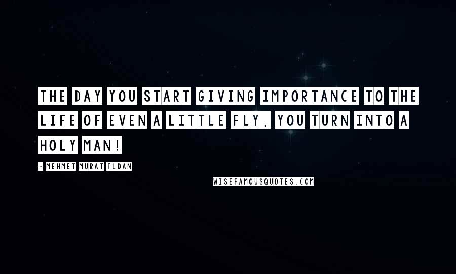 Mehmet Murat Ildan Quotes: The day you start giving importance to the life of even a little fly, you turn into a holy man!