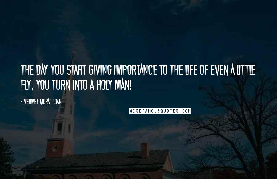 Mehmet Murat Ildan Quotes: The day you start giving importance to the life of even a little fly, you turn into a holy man!