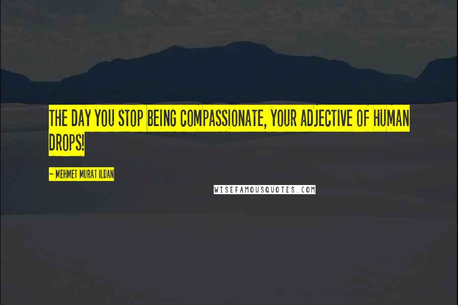 Mehmet Murat Ildan Quotes: The day you stop being compassionate, your adjective of human drops!