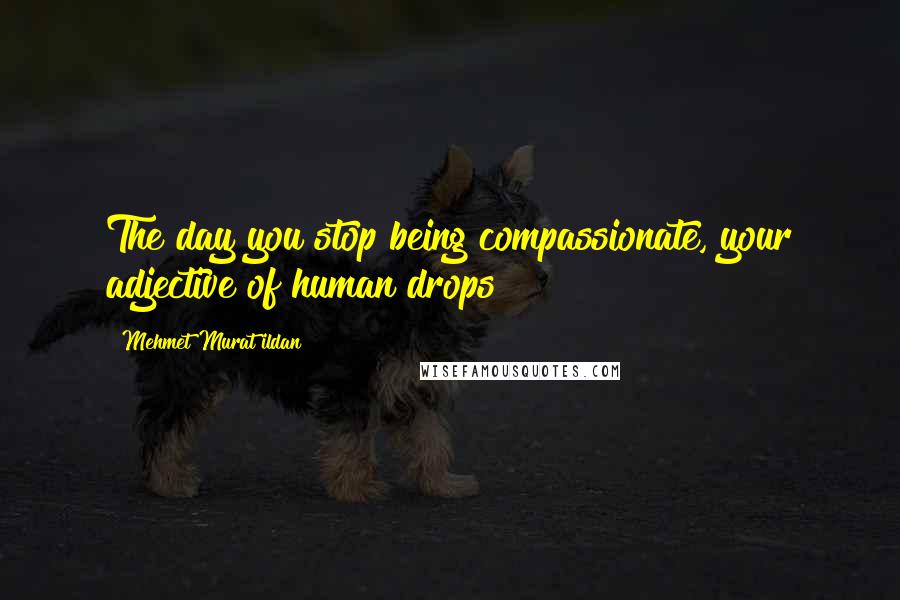 Mehmet Murat Ildan Quotes: The day you stop being compassionate, your adjective of human drops!