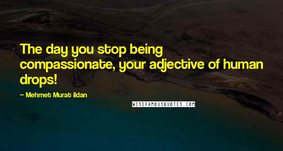 Mehmet Murat Ildan Quotes: The day you stop being compassionate, your adjective of human drops!
