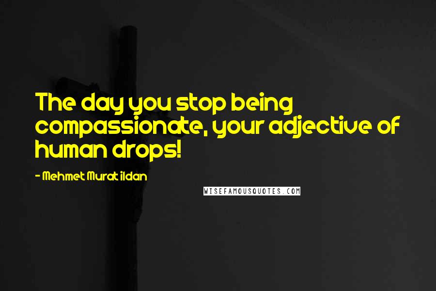 Mehmet Murat Ildan Quotes: The day you stop being compassionate, your adjective of human drops!