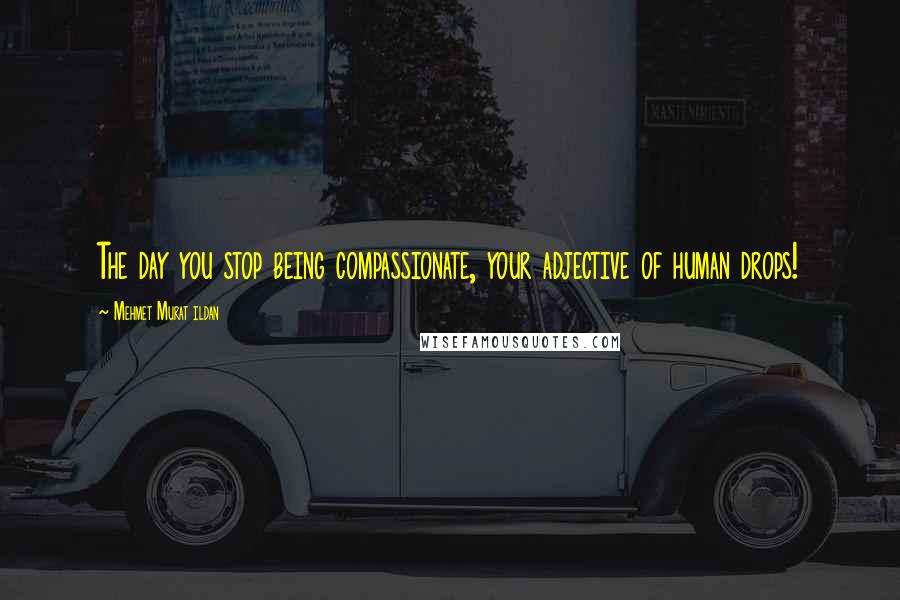 Mehmet Murat Ildan Quotes: The day you stop being compassionate, your adjective of human drops!