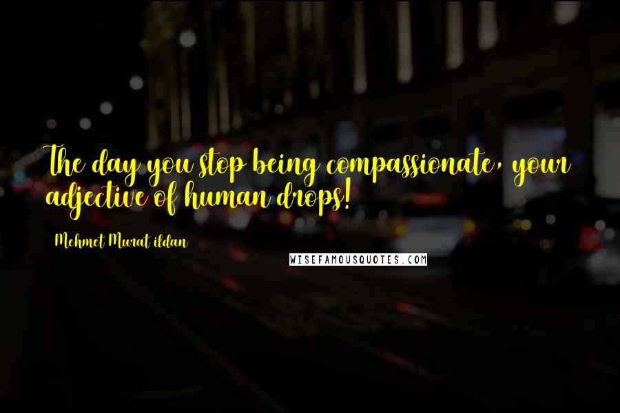Mehmet Murat Ildan Quotes: The day you stop being compassionate, your adjective of human drops!