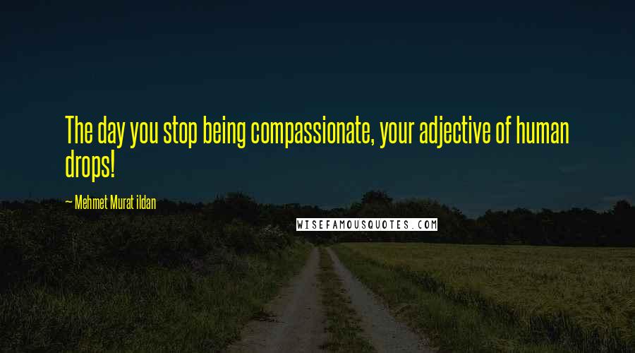 Mehmet Murat Ildan Quotes: The day you stop being compassionate, your adjective of human drops!