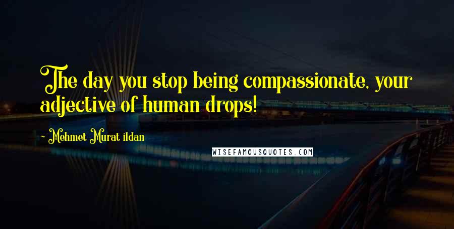 Mehmet Murat Ildan Quotes: The day you stop being compassionate, your adjective of human drops!