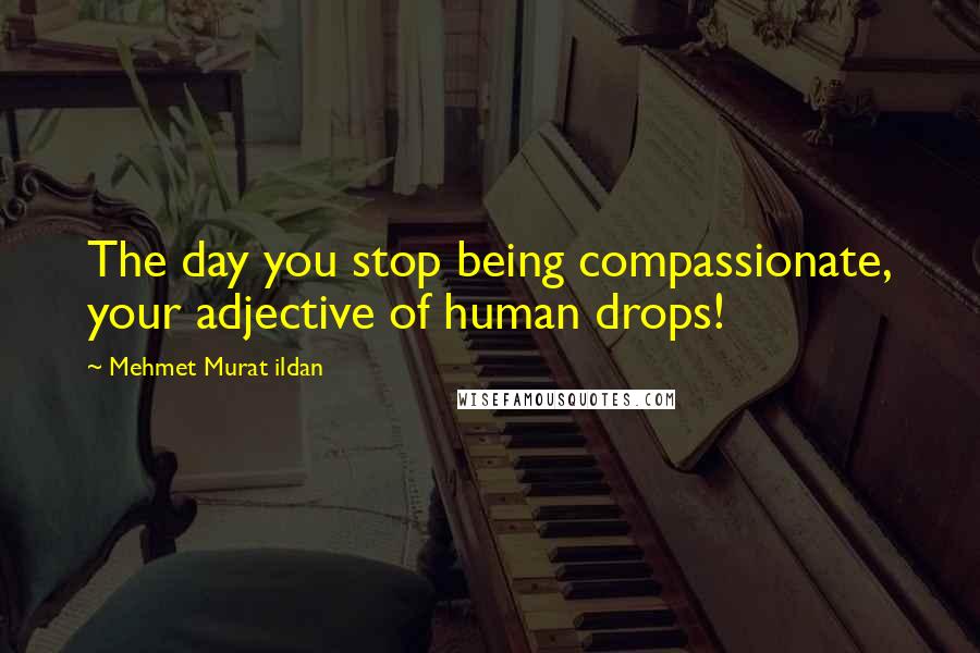 Mehmet Murat Ildan Quotes: The day you stop being compassionate, your adjective of human drops!