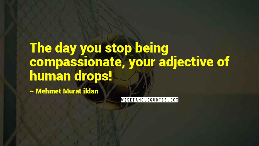Mehmet Murat Ildan Quotes: The day you stop being compassionate, your adjective of human drops!