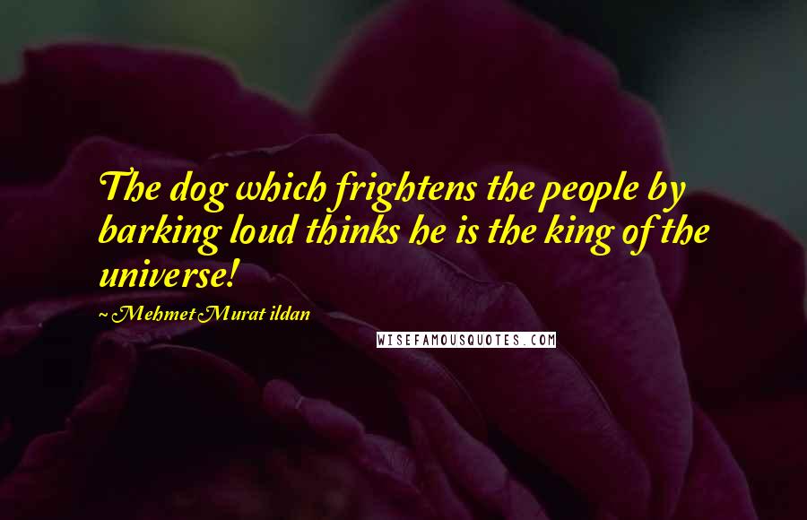 Mehmet Murat Ildan Quotes: The dog which frightens the people by barking loud thinks he is the king of the universe!