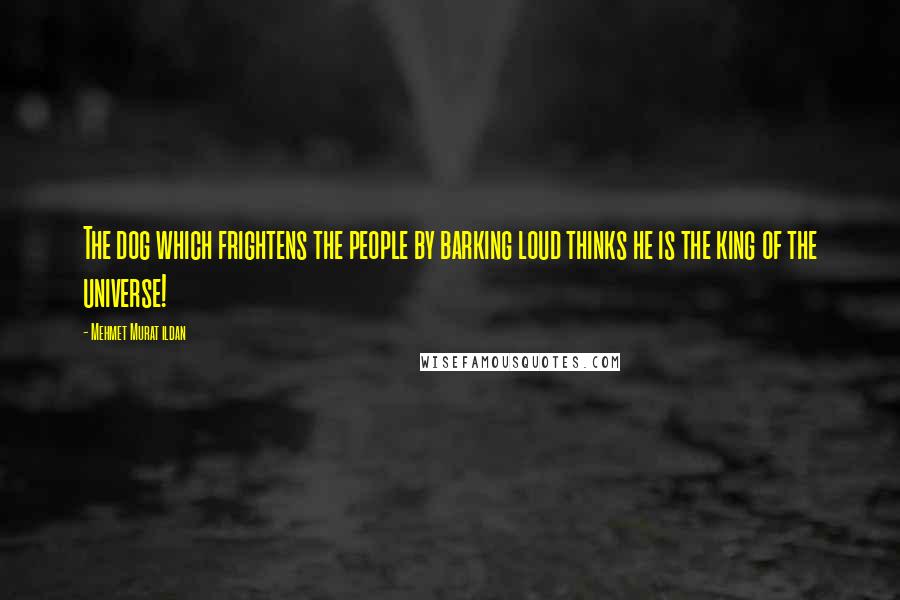 Mehmet Murat Ildan Quotes: The dog which frightens the people by barking loud thinks he is the king of the universe!