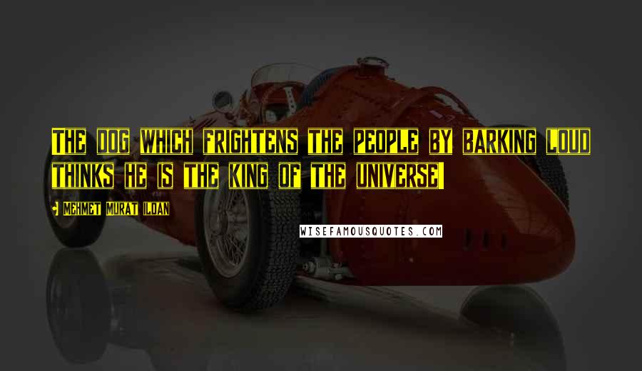 Mehmet Murat Ildan Quotes: The dog which frightens the people by barking loud thinks he is the king of the universe!