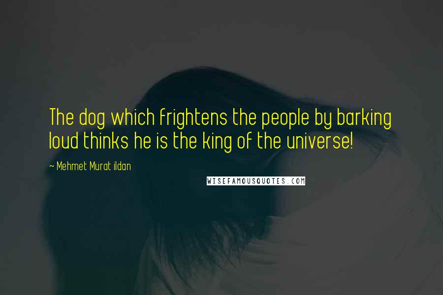 Mehmet Murat Ildan Quotes: The dog which frightens the people by barking loud thinks he is the king of the universe!