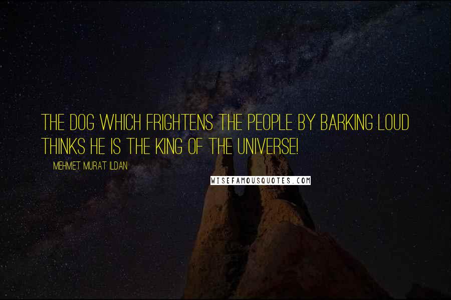 Mehmet Murat Ildan Quotes: The dog which frightens the people by barking loud thinks he is the king of the universe!