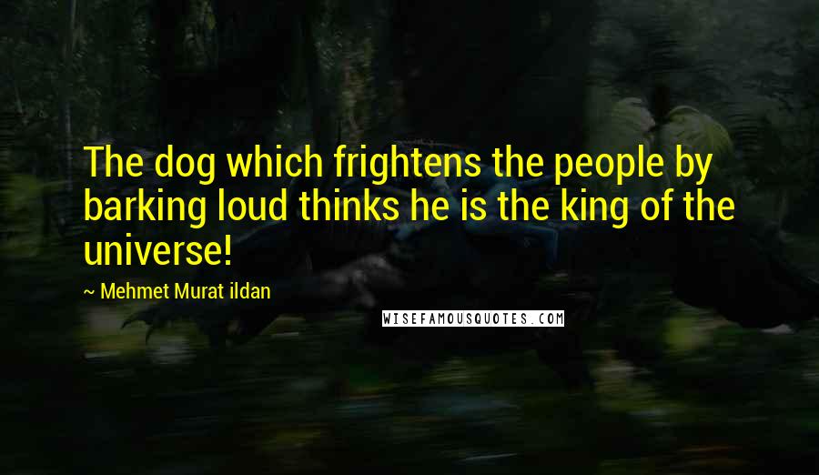 Mehmet Murat Ildan Quotes: The dog which frightens the people by barking loud thinks he is the king of the universe!