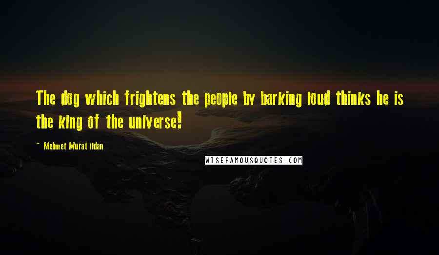 Mehmet Murat Ildan Quotes: The dog which frightens the people by barking loud thinks he is the king of the universe!