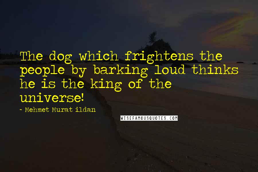 Mehmet Murat Ildan Quotes: The dog which frightens the people by barking loud thinks he is the king of the universe!