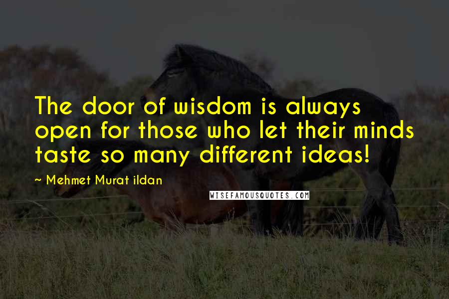 Mehmet Murat Ildan Quotes: The door of wisdom is always open for those who let their minds taste so many different ideas!