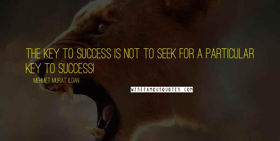 Mehmet Murat Ildan Quotes: The key to success is not to seek for a particular key to success!