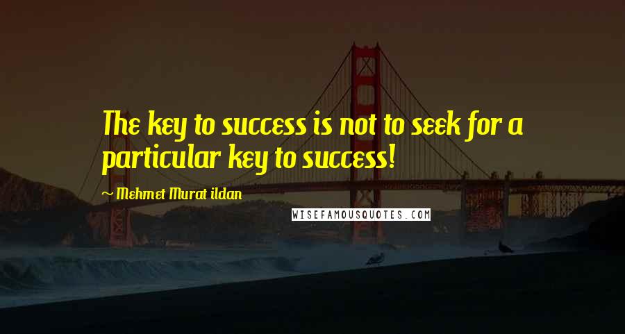 Mehmet Murat Ildan Quotes: The key to success is not to seek for a particular key to success!