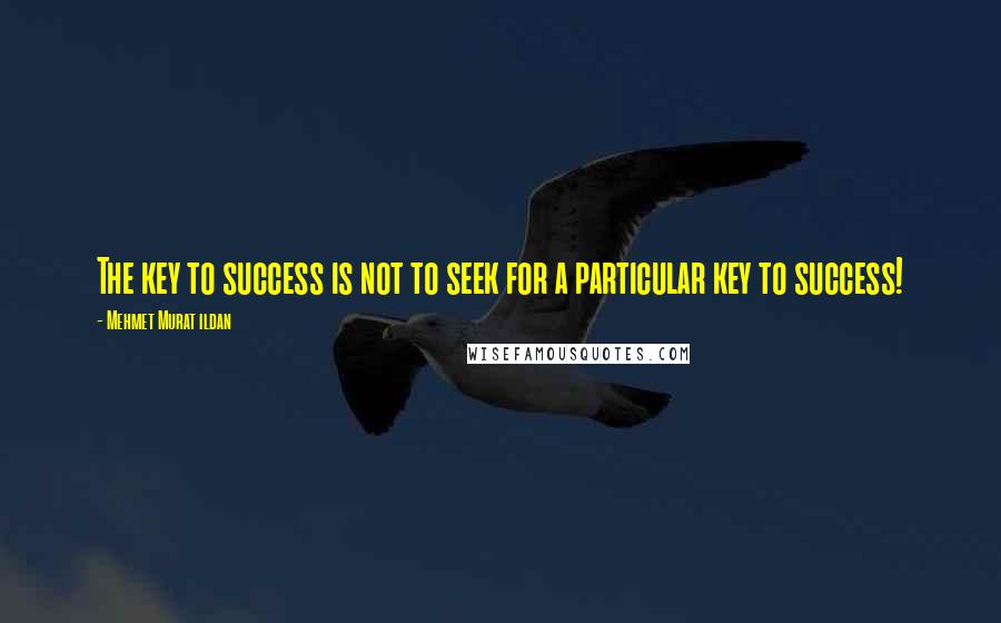 Mehmet Murat Ildan Quotes: The key to success is not to seek for a particular key to success!